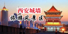 91bbb中国陕西-西安城墙旅游风景区